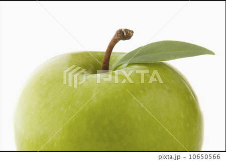 Studio shot of green apple, close-up Studio shot of green apple, close-up 10650566