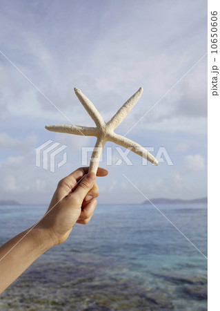United States Virgin Islands, St. John, Starfish held by female hand United States Virgin Islands, St. John, Starfish held by female hand 10650606