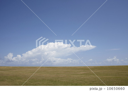 Puerto Rico, Old San Juan, Landscape with field and clouds 10650660