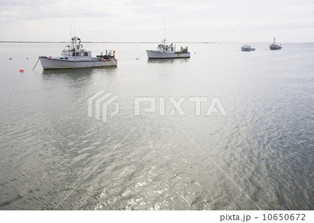 USA, Massachusetts, moored fishing boats USA, Massachusetts, moored fishing boats 10650672