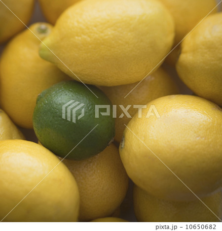 One lime amongst many lemons 10650682