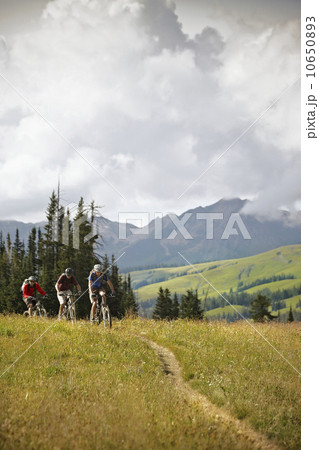 Men mountain biking on trail Men mountain biking on trail 10650893