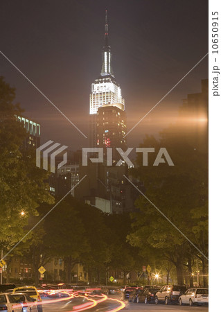 The Empire State Building The Empire State Building 10650915