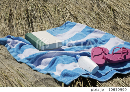 USA, Massachusetts, towel on Marram Grass  10650990