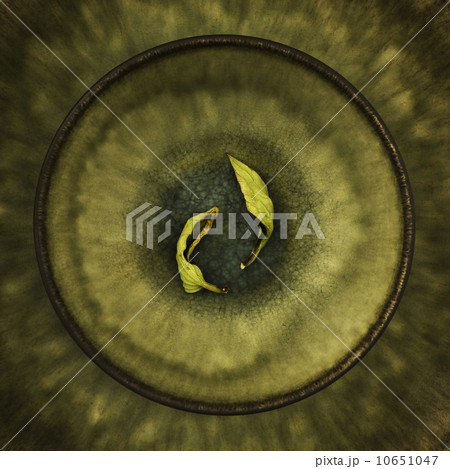 Dry leaves in bowl 10651047