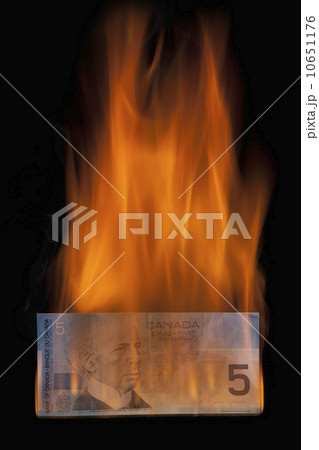 Burning 5 dollar bill 10651176