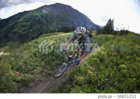 Man mountain biking on trail 10651231