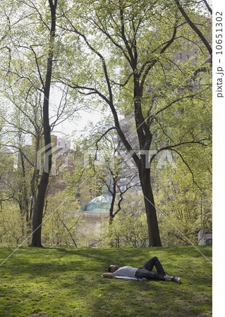 Man lying on the grass in Central Park 10651302