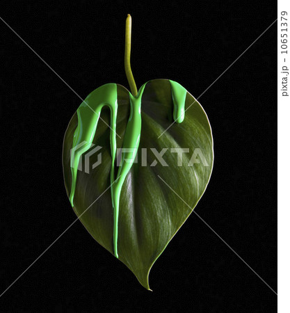 Green paint on leaf Green paint on leaf 10651379