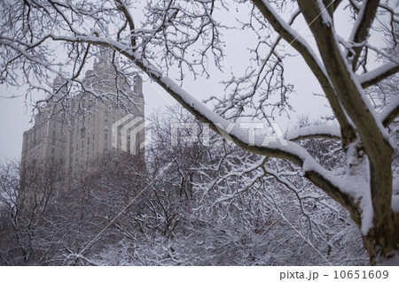 Central park in winter 10651609