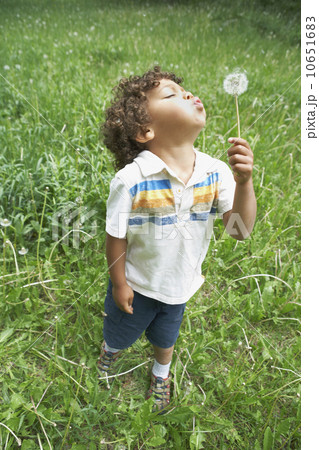 Young child blowing dandelion seed head Young child blowing dandelion seed head 10651683