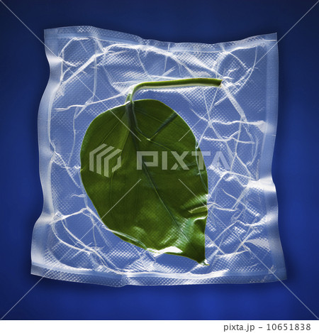 Shrink wrapped green leaf 10651838