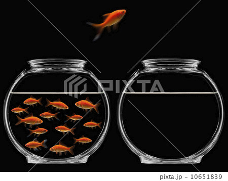 Goldfish jumping out of bowl 10651839