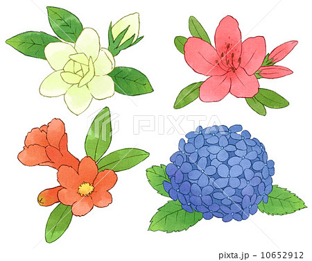 Illustration Of Summer Flowers Stock Illustration