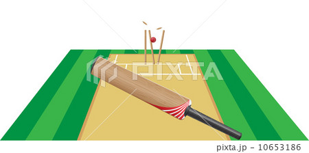 criket vector illustration 10653186