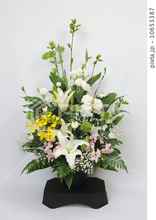 御供花 10653387