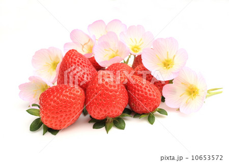 イチゴ イチゴ 10653572
