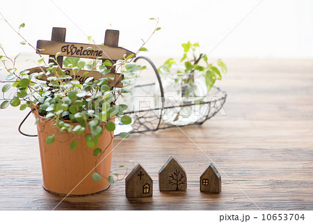 ウェルカム　オーナメント　ベビーティアーズ 10653704