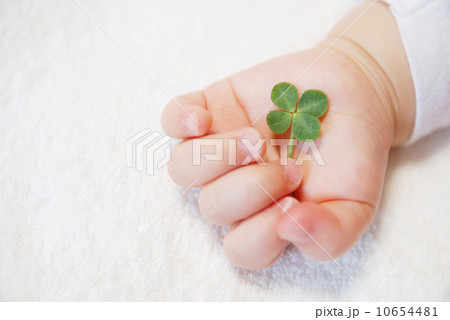 手の中の四つ葉のクローバー 手の中の四つ葉のクローバー 10654481