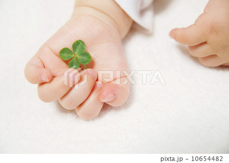 手の中の四つ葉のクローバー 手の中の四つ葉のクローバー 10654482