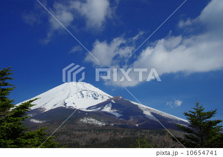 水ケ塚公園からの富士山 水ケ塚公園からの富士山 10654741