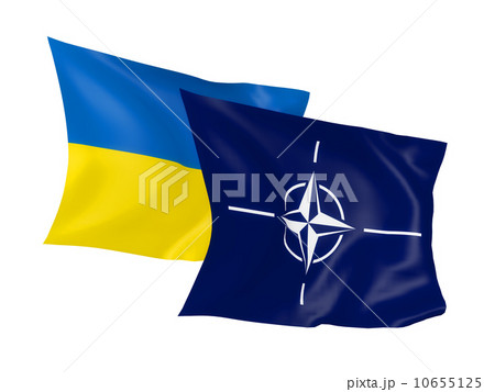 waving flags 10655125