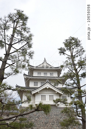 忍城　埼玉県 10656098