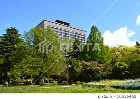 新緑に包まれる宮城県庁舎 10656469