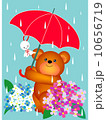 梅雨 10656719