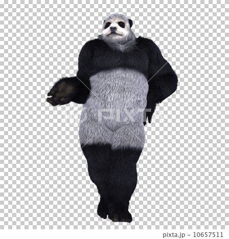 パンダマン 10657511