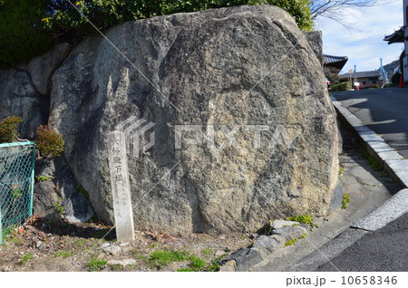 方広寺･大仏殿の石垣（京都市東山区茶屋町） 10658346