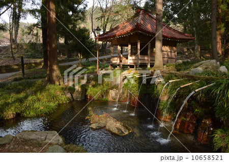 大窪いやしの杜公園　笛吹市　山梨 10658521