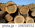 材木置き場 10658552