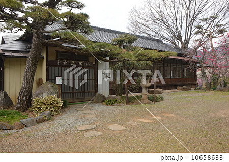 梅の名所　不老園　山梨 10658633