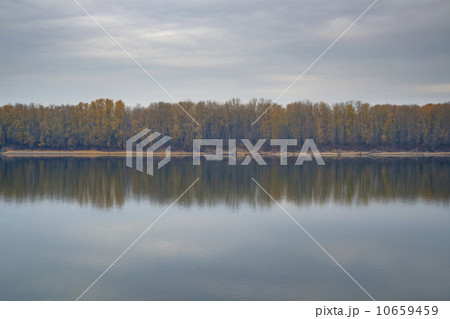 Forest reflecting in tranquil water 10659459