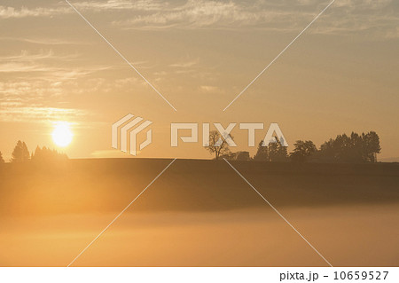 Sunrise over Wilamette Valley 10659527