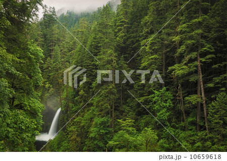 Metlako Falls 10659618
