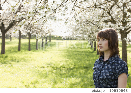Belgium, Sint-Truiden, Portrait of young woman in spring orchard Belgium, Sint-Truiden, Portrait of young woman in spring orchard 10659648