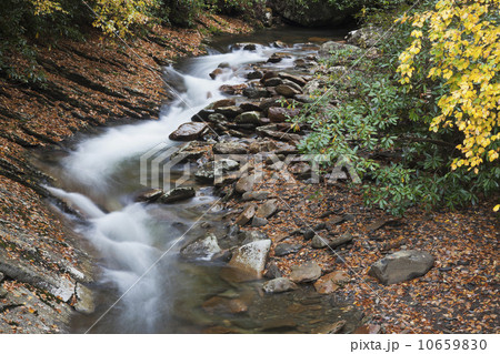 Small stream 10659830