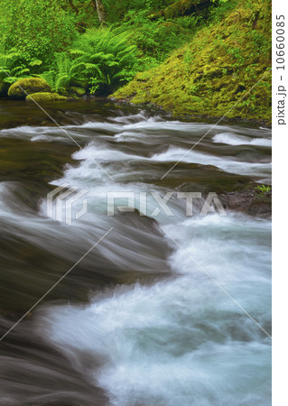 Long exposure of Tanner Creek 10660085
