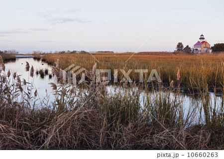 Maurice River Lighthouse 10660263
