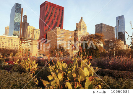 Cityscape of Chicago 10660682