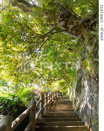 館山 那古寺 館山 那古寺 10661932