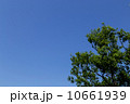 空と緑 10661939
