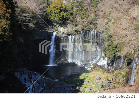 白糸の滝 白糸の滝 10662521