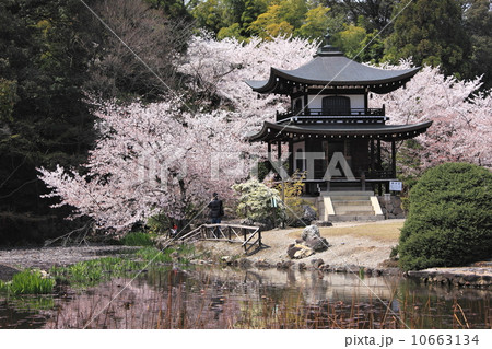 京都　勧修寺 10663134
