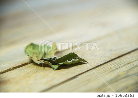 Dried leave on wooden floor1 Dried leave on wooden floor1 10663363