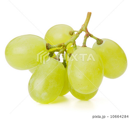Green grape bunch 10664284