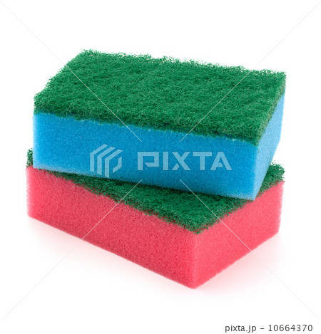 sponges sponges 10664370
