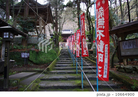 瀧塔山 龍蔵寺参道 10664900